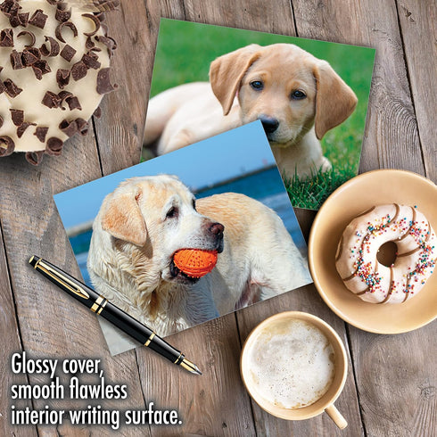The Best Card Company - 10 Adorable Blank Dog Cards (4 x 5.12 Inch) - Boxed Set of Lovable Labs AM6325OCB-B1x10