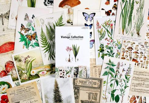 Vintage Collection Postcard Set: 30 Pack of Retro Style Botanical, Nature and Ephemera Postcards