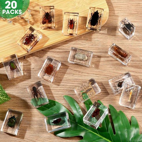 20Pcs Insect in Resin Specimen Set, Different Kind or Size Insect Specimen Bugs Collection for Teens