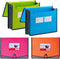 FANWU 4 Pack Plastic Expanding File Wallet Document Organizer, Letter Size, Poly A4 Expandable Folder