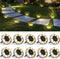 SOLPEX 10 Pack Solar Ground Lights Outdoor Waterproof, Solar Powered Pathway Lights,