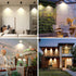 MR11 Bulb 3W, 20W GU4 12V Bulbs 4000K Non-Dimmable, 6 Pack LED Halogen Replacement, Bi-Pin Base, Low Voltage Landscape