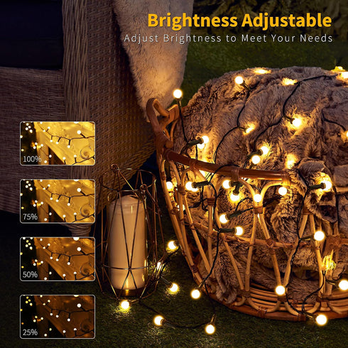66ft 200 Dimmable Brizled LED Color Changing String Lights, Warm White & Colored Christmas Lights, Berry String Lights