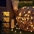 66ft 200 Dimmable Brizled LED Color Changing String Lights, Warm White & Colored Christmas Lights, Berry String Lights