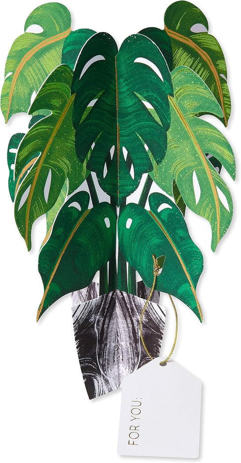 Papyrus Pop Up Card (Plant) Blank