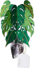 Papyrus Pop Up Card (Plant) Blank
