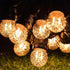 E26 Bulbs,1W Bulb,10 Bulbs 2200K Strings,Non-Dimmable,Glass,2-Pack Amber Small LED Light Small Edison Watt