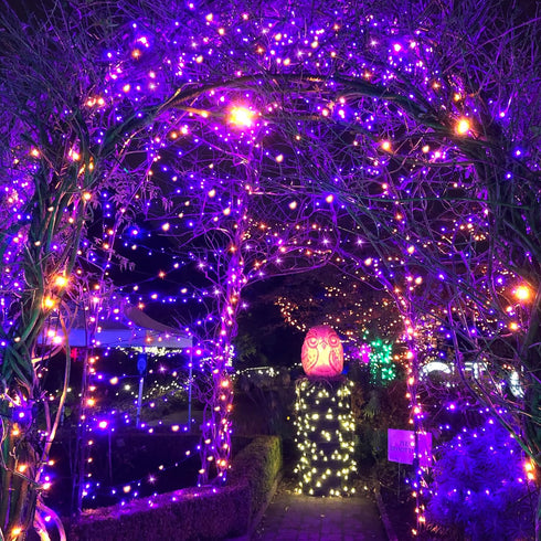 Selarlyt 200LED Lights78FT 8 Solar Halloween Orange& Purple String LightsSolar Fairy Lights with Modes Halloween Lights