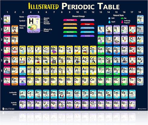 Large Illustrated Periodic Table of Elements 2025 Kids Poster, Laminated (18"x24") Young N Refined