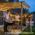 168FT 600 JMEXSUSS LED Christmas Lights Outdoor Waterproof Clear Wire Indoor String Lights for Outside Warm White