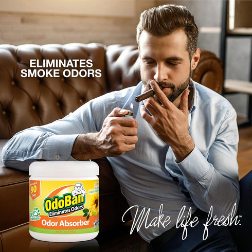 OdoBan Solid Odor Absorber Eliminator, Citrus Scent, 14 Ounces Each, 3-Pack for Home and Small Spaces