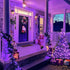 250 91.5ft 8 JMEXSUSS LED Christmas String Lights, Purple Christmas Lights Outdoor Waterproof, Lighting Modes