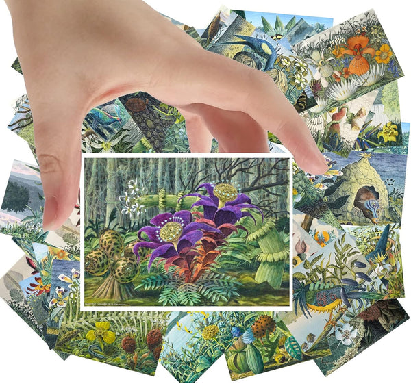 Large Stickers (24 pcs 2.5"x3.5" Each) Cool Strange Landscapes of Animals and Plants Vintage Postcards Retro Greeting