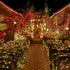 80 240 8 2 Pack TW SHINE Warm White Solar String Lights Outdoor, Total FT LED Solar Powered Waterproof Fairy Lights