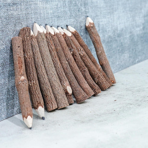 BSIRI Black 3 Inch Wood Tree Bark Pencils, 12 Pack, Rustic Twig Pencils for Unique Camping Gifts, Decorations, Party