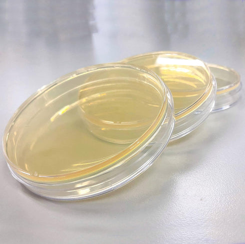 LB (LB) Agar Plates - Evviva Sciences - Prepoured Luria-Bertani Agar Petri Dishes - General Purpose Media - Top Science