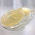 LB (LB) Agar Plates - Evviva Sciences - Prepoured Luria-Bertani Agar Petri Dishes - General Purpose Media - Top Science