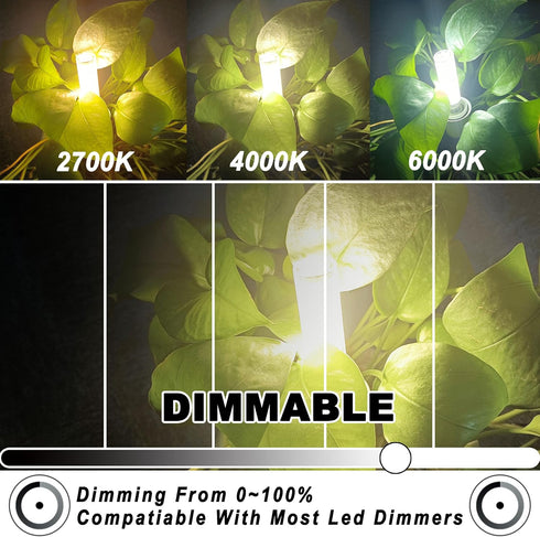 ALIDE JDE11 Bulbs 120V 100W Bulbs Dimmable,T3 T4 E11 Bulb,4000K 10W 1000LM E11 Lighting,5Pack Led Halogen Candelabra