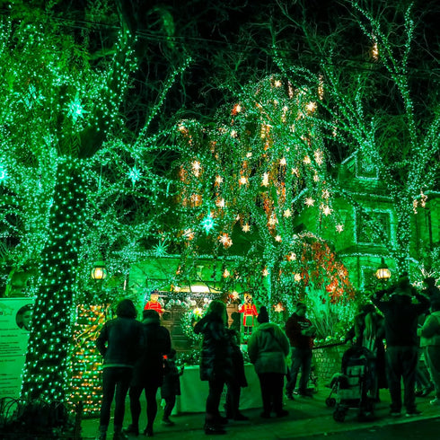 Dazzle Bright 20 FT Battery Operated Fairy Lights, 60 LED Silver Wire, Waterproof String Lights for Indoor Outdoor