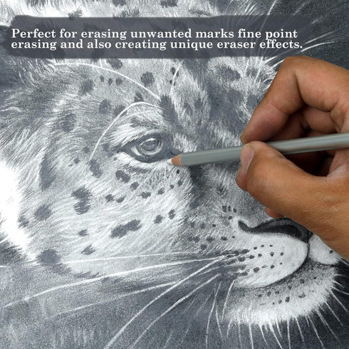 KALOUR Detail Eraser Pencil, 6pc Eraser Pencils with Brush and 2pc Sharpener, Fine Detail Eraser for Sketching,