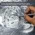 KALOUR Detail Eraser Pencil, 6pc Eraser Pencils with Brush and 2pc Sharpener, Fine Detail Eraser for Sketching,
