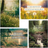 DaySpring - Tony Evans - You Were Made for a Purpose, 12 Birthday Boxed Cards & Envelopes, 4 Design Assortment with