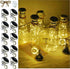 Solar Wine Bottle Lights, 10 Pack Diamond Cork Lights, 20 LED Outdoor