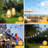 50FT ST38 Bulbs Dimmable GPATIO Outdoor String Lights, Shatterproof Patio Lights, Waterproof Outside Hanging Light