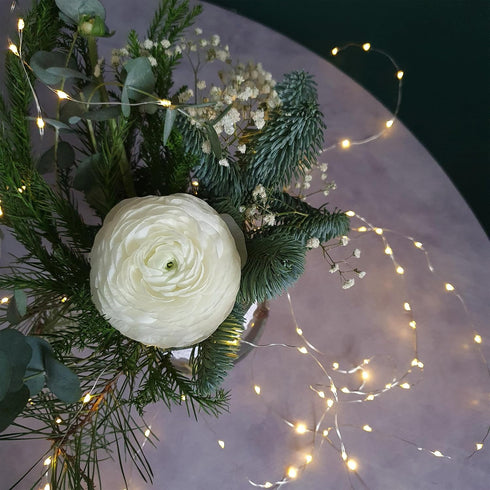 6ft 5K 1.8W FY6-20/SLV Feit Electric Indoor LED Fairy String Lights with On/Off Switch, Silver Wire Light Strand, Life