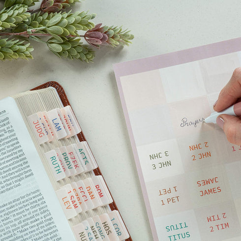 DiverseBee Laminated Bible Tabs, Large Print Easy to Apply Bible Index Tabs for Old and New Testament, 72 Tabs