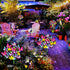 Solar Garden Lights Outdoor, 2 Pack Waterproof Solar Lights with 72 LED 34 Butterfly for Yard Garden Pathway Decor Gifts