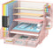 DALTACK Mesh Desk Organizer, 5-Tier Paper Letter Tray with File Holder, Pen Holder & Sliding Drawer for Office Supplies