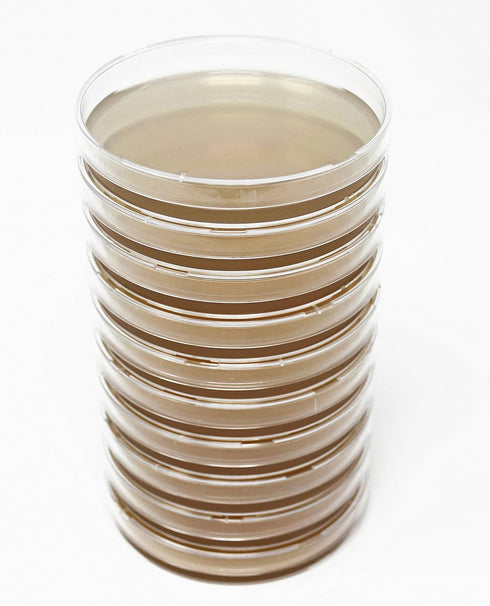 Malt Extract Agar (MEA) Plates for Mushroom Cultivation, 10 Prepoured Agar Plates