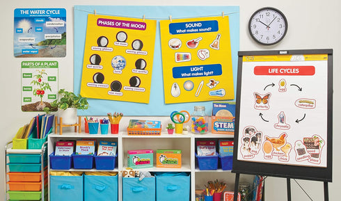 Early Science Concepts Bulletin Board by Scholastic