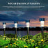 16 Pack SOLPEX Solar Outdoor Lights Pathway, Stainless Steel Solar Lights Outdoor Waterproof,LED Landscape Lighting