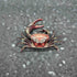 GFAZXDS A,15cm, Figurine,D-15cm Real Crab Insect Specimens Animal Taxidermy Collection for Science Education & Desk