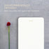 Elegant Executive Notepads, Minimalist Gold Foiled Memo Pads, Dotted Layout, 3 Pack, 225 Sheets Total, Eco-friendly