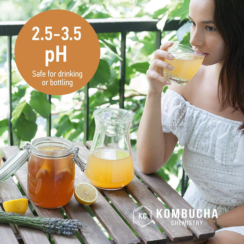 pH Test Strips for Kombucha Brewing 0-6 (0.5 Intervals) - 100pc Kit