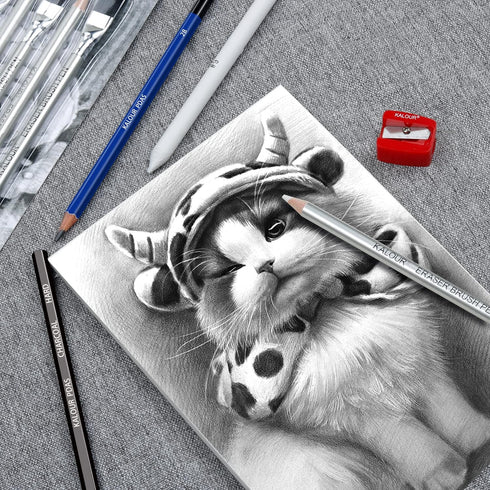 KALOUR Detail Eraser Pencil, 6pc Eraser Pencils with Brush and 2pc Sharpener, Fine Detail Eraser for Sketching,