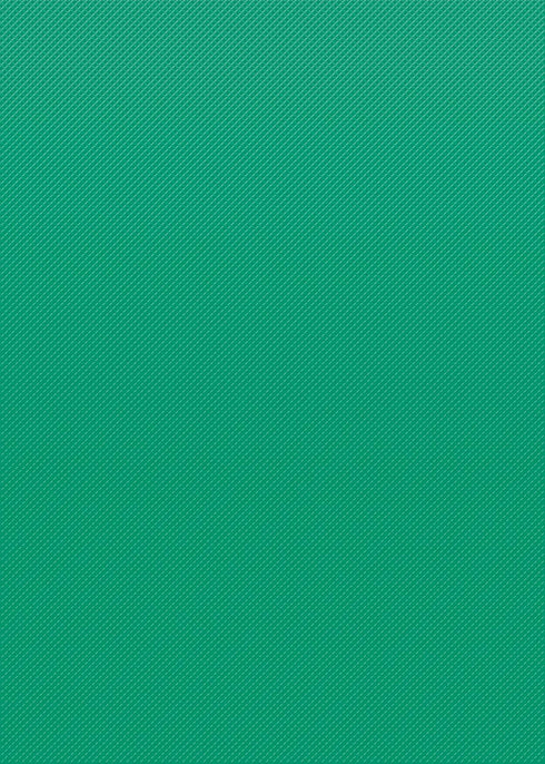 Teacher Created Resources Vivid Green Better Than Paper Bulletin Board Roll (TCR77895) by Teacher Created Resources