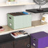 Oterri File Organizer Box with Lid - Portable Hanging File Box for Letter/Legal Storage, Green (1 Pack)