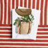 Salty Home Summer (Set 12 Preppy Days Greeting Cards of assorted designs)