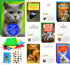 Imperial Designs 50 Animal Jokes & Fun Facts Cards, No Repeats (4x6),