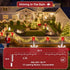 300 75ft, 12 Dimmable LED Outdoor Christmas Lights Lighting Modes Indoor String Lights & Timer Memory, Outsite