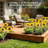 3 Pack 2 TANSOREN Solar Garden Lights Outdoor, Lighting Modes Warm White LED Waterproof Solar Powered Sun Flowers