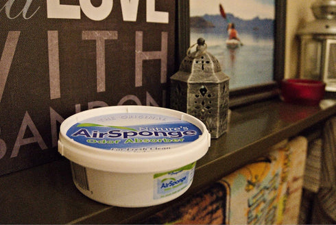1/2 Lb. Delta Nature's Air Sponge Odor Absorber Unscented Plastic Tub