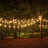 1W S14 Bulbs, 15-Pack Newhouse Lighting Outdoor Weatherproof LED Replacement String Light Standard Base