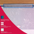DocuGard Blue/Red Prismatic Middle Check, 8.5 x 11 Inches, 24 lb, 500 Sheets, 1 Check Per Sheet