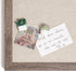 U Brands Succulent Push Pins Set, Office Supplies with Three Assorted Styles, 9 Count
