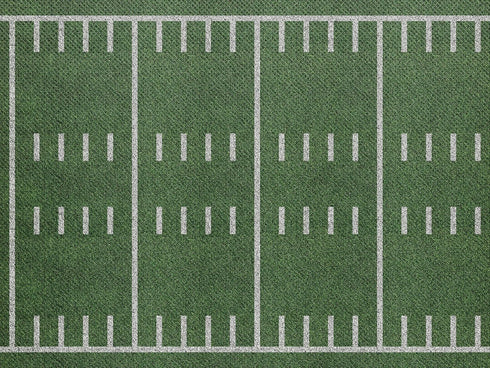 Teacher Created Resources Fun Size Bulletin Board Roll, 18" x 12', Better Than Paper, Sports Field
